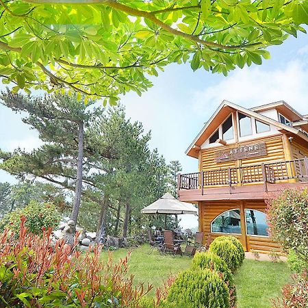 แอทเทน เพนชั่น Villa เมืองเชจู ภายนอก รูปภาพ