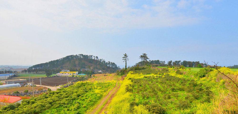 แอทเทน เพนชั่น Villa เมืองเชจู ภายนอก รูปภาพ