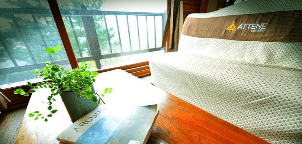 แอทเทน เพนชั่น Villa เมืองเชจู ภายนอก รูปภาพ